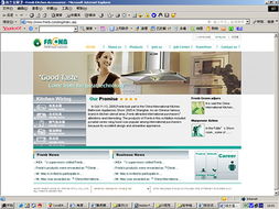 深圳網站設計公司 打造卓越企業形象的數字化門戶